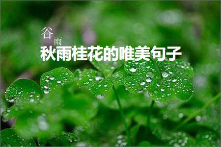 秋雨桂花的唯美句子（文案194条）